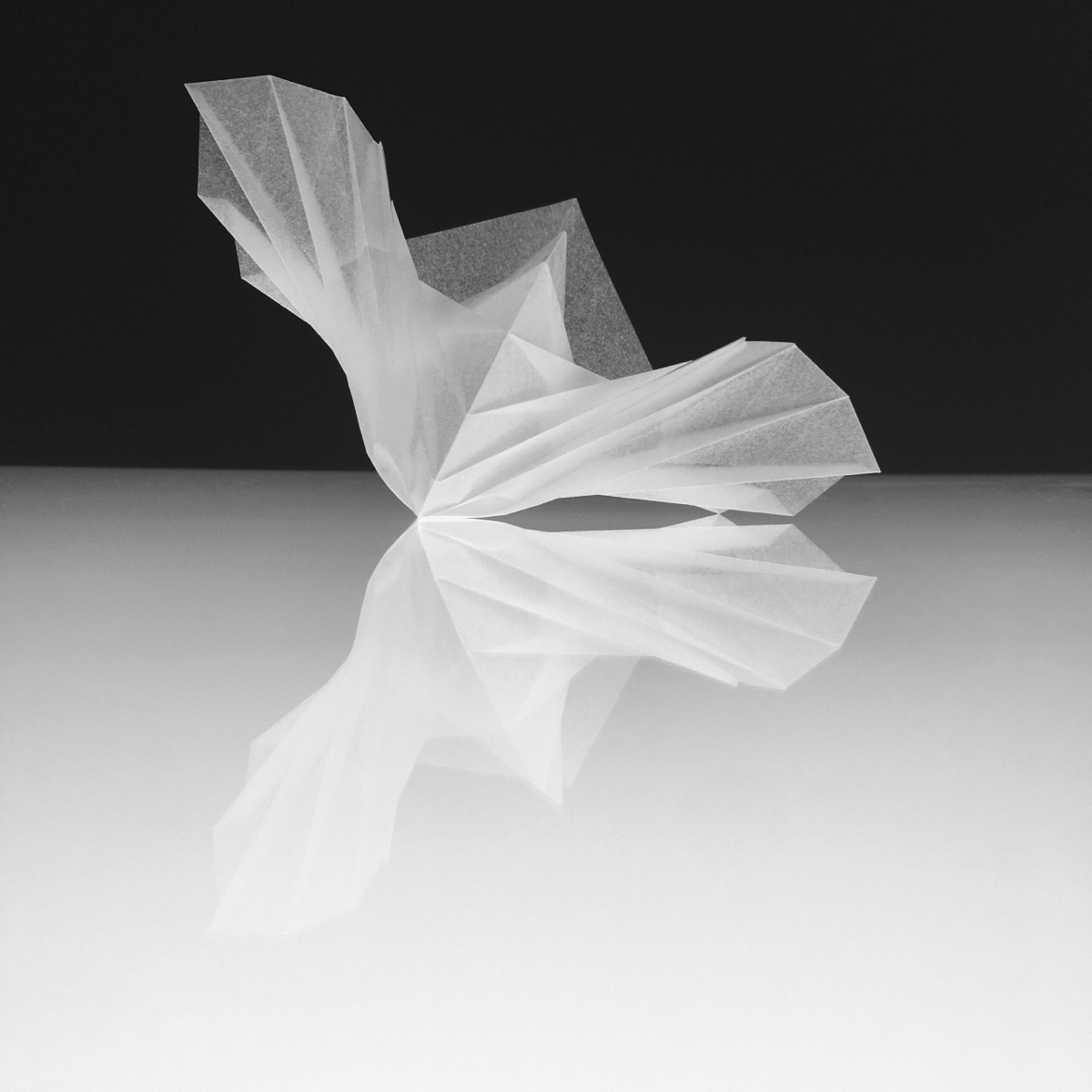 Nautilus — Origami-Tessellation